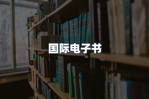 国际电子书